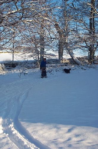 2002_bowden_new__year50