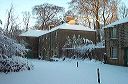 2002_bowden_new__year19