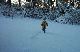 2002_bowden_new__year21
