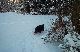 2002_bowden_new__year23
