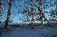 2002_bowden_new__year35